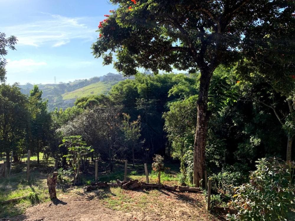 Foto 4 de Rural Chácara em Estância Porto Velho, Jacareí - imagem 4