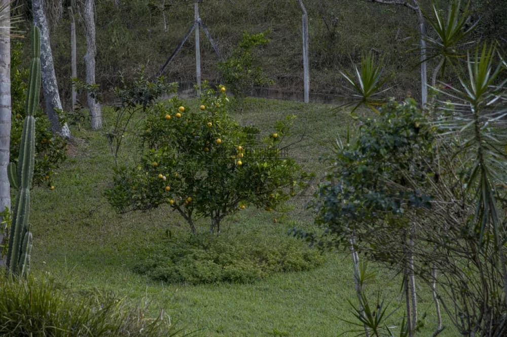 Foto 3 de Rural sem benfeitorias Área sem benfeitorias em Centro, Guararema - imagem 3