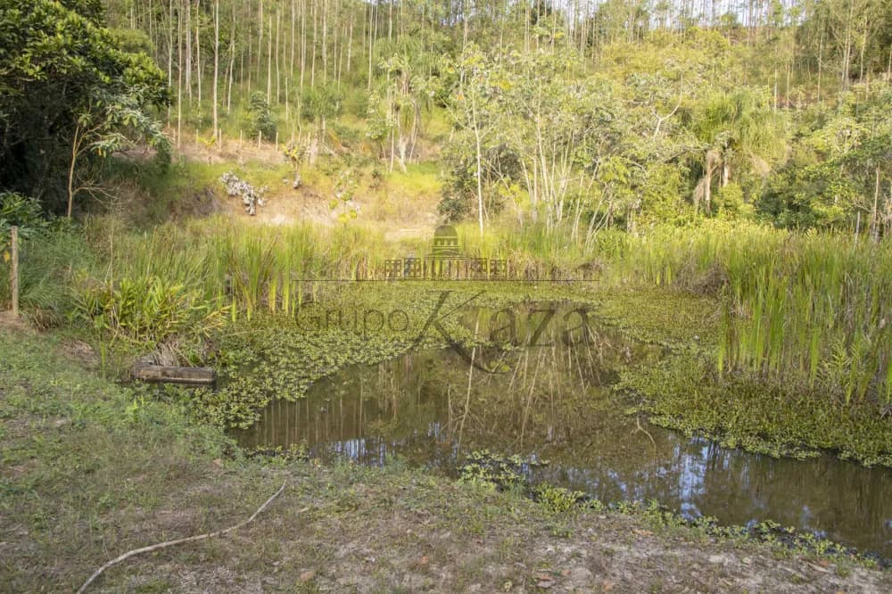 Foto 12 de Rural sem benfeitorias Área sem benfeitorias em Centro, Guararema - imagem 12