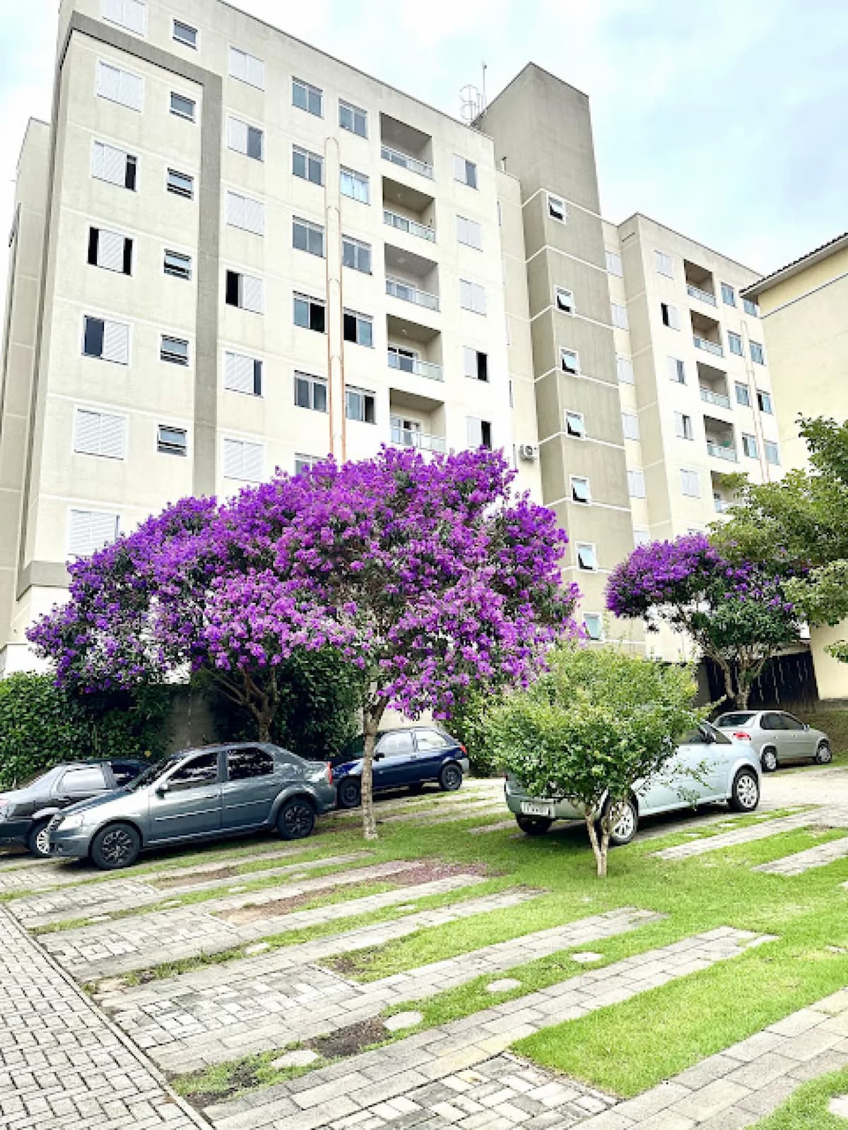 Foto 18 de Apartamento Padrão em Jardim Sul, São José dos Campos - imagem 18