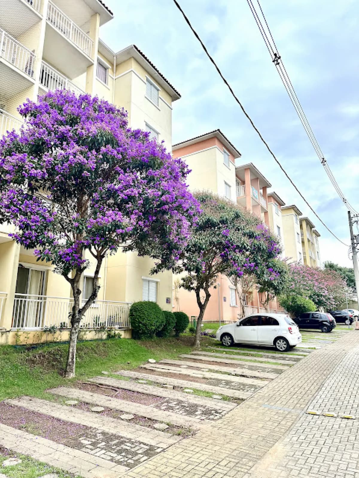 Foto 19 de Apartamento Padrão em Jardim Sul, São José dos Campos - imagem 19