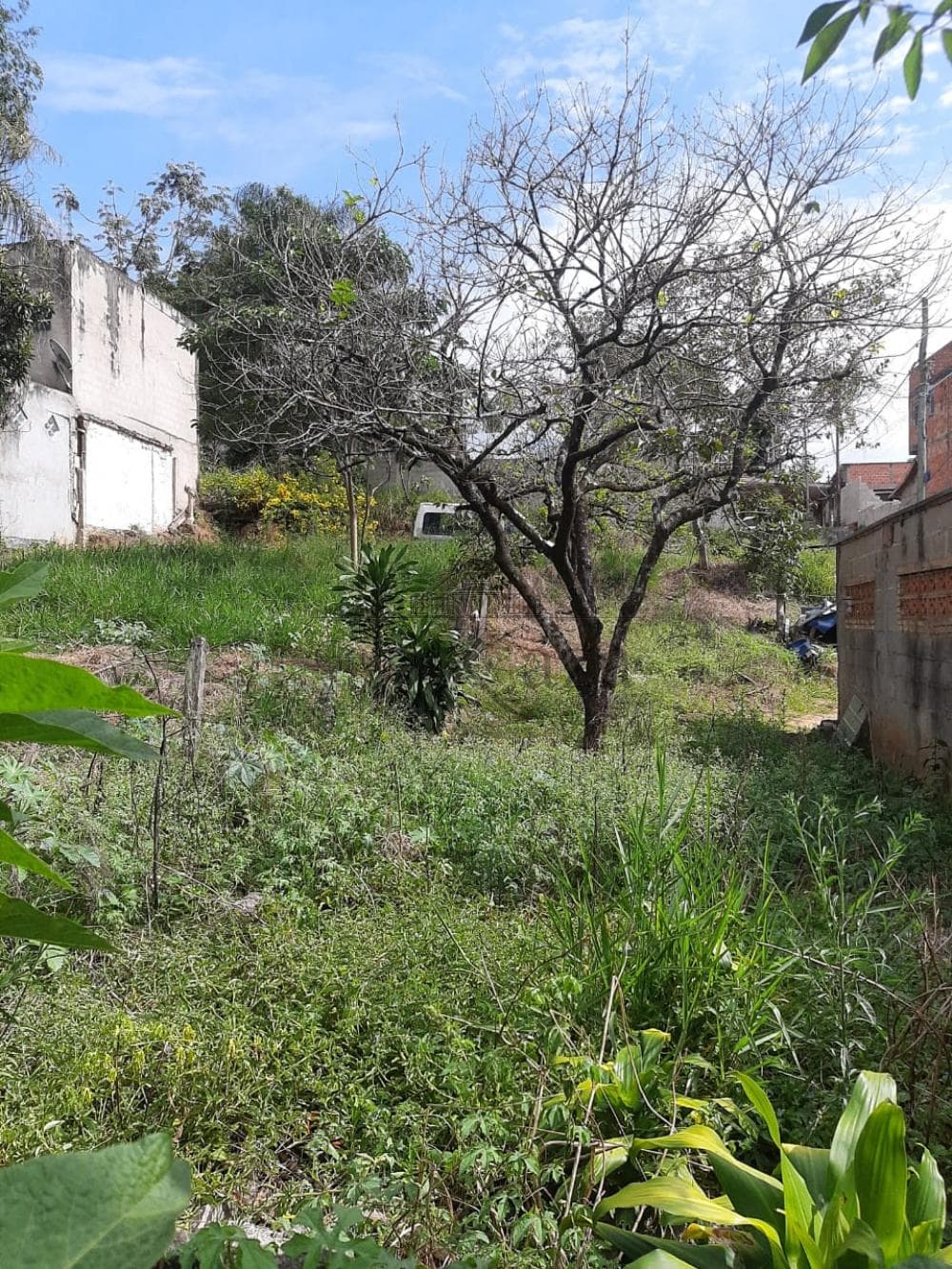 Foto 2 de Terreno Padrão em Jardim Santa Hermínia, São José dos Campos - imagem 2