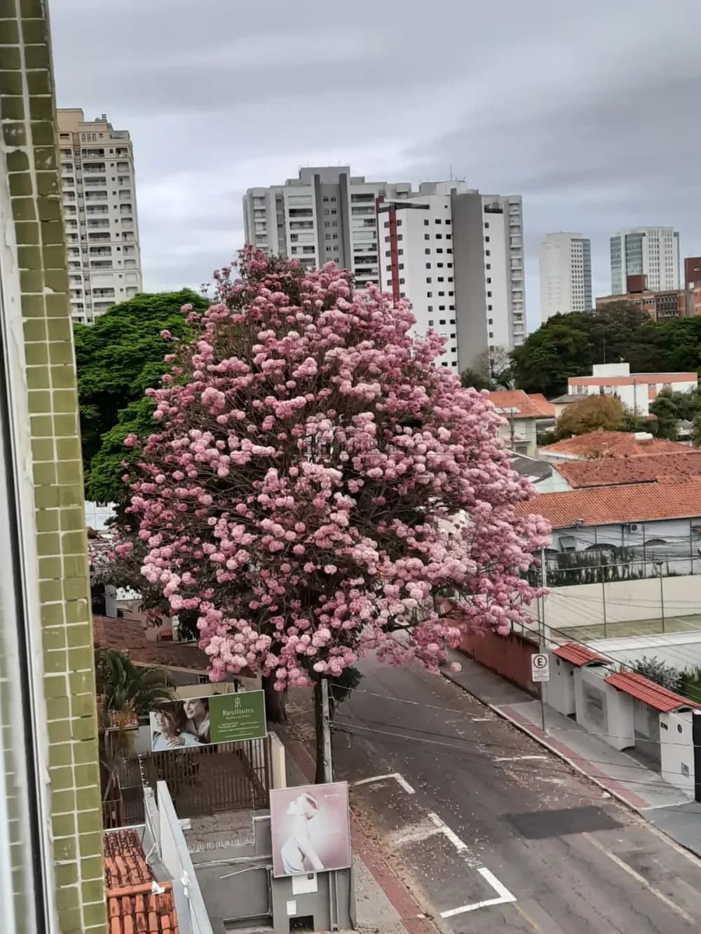 Foto 15 de Apartamento Padrão em Jardim Apolo, São José dos Campos - imagem 15