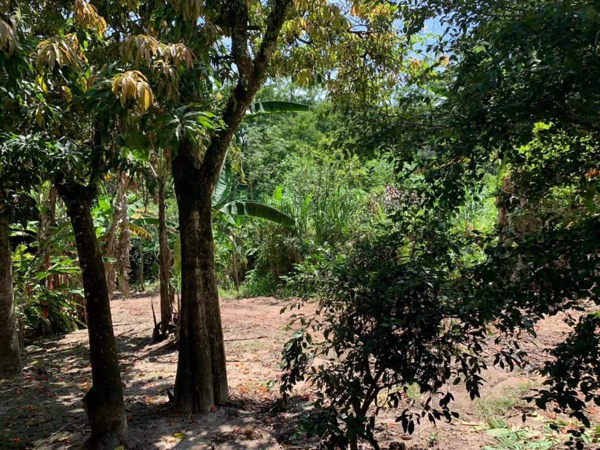 Foto 4 de Terreno Padrão em Jardim Santo Antônio da Boa Vista, Jacareí - imagem 4