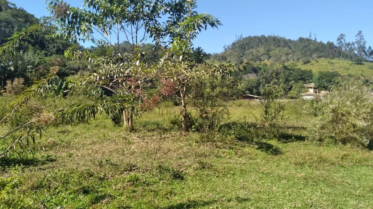Foto 5 de Rural Fazenda em Buquirinha, São José dos Campos - imagem 5